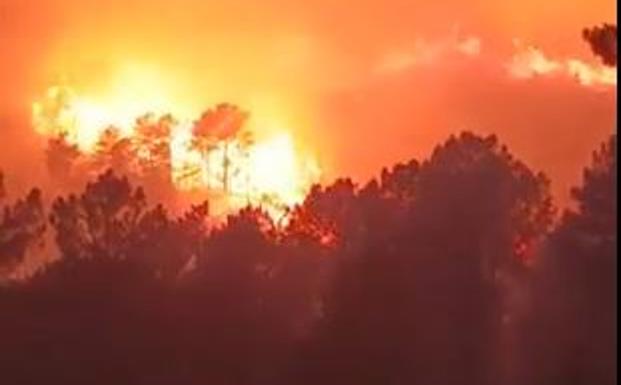 Medios terrestres trabajan en la extinción de un incendio forestal en Guisando