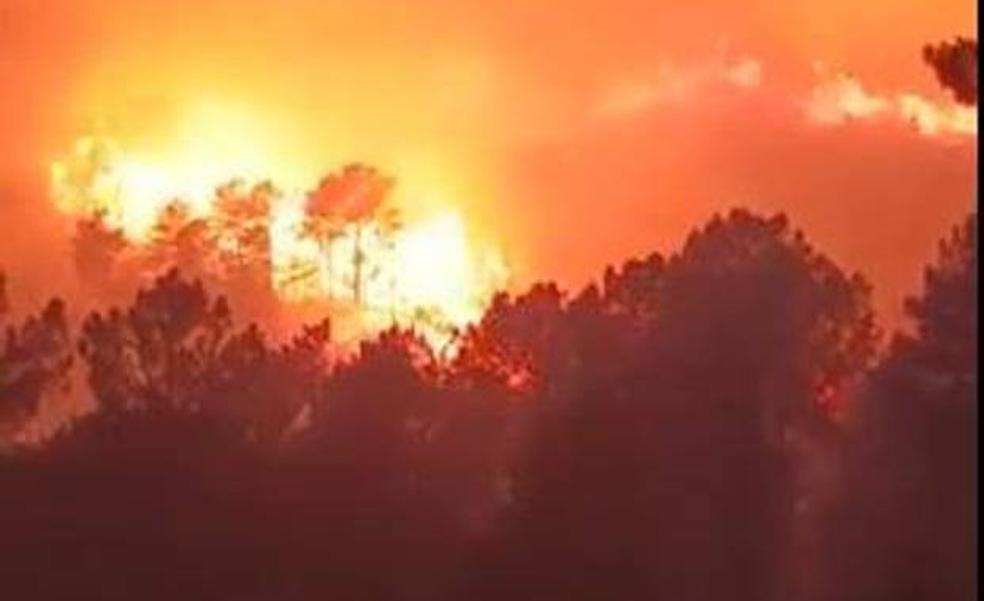 Controlado el incendio forestal en Guisando