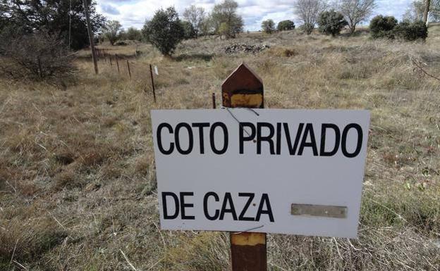 La Audiencia fija para abril el juicio a un cazador por disparar a otro y huir