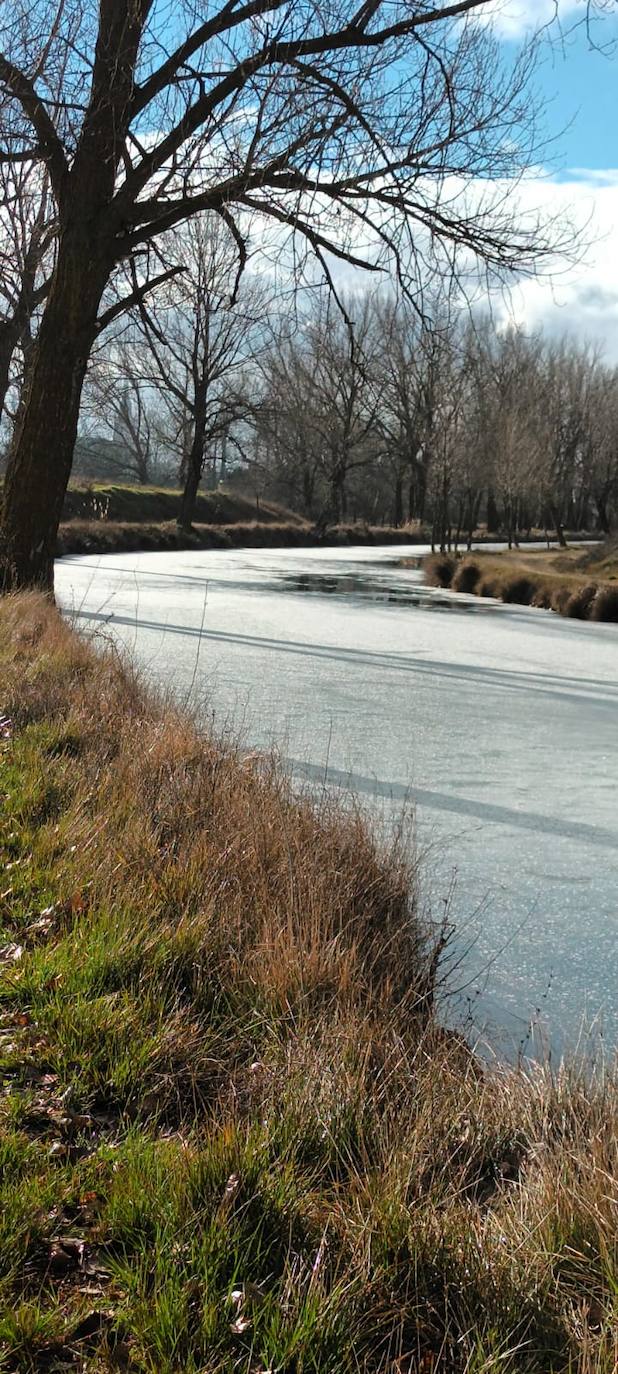 El Canal de Castilla, congelado a su paso por Medina de Rioseco