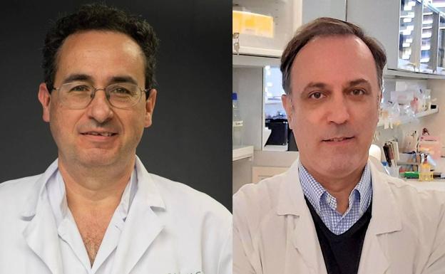 La Fundación 'la Caixa' analiza las terapias contra el cáncer en las que los pacientes son sus propios donantes