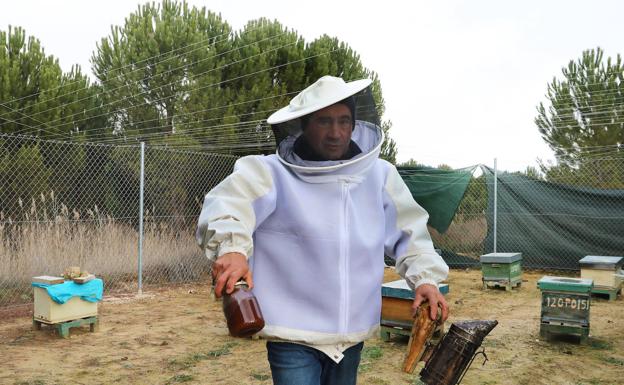 Una marca de calidad para proteger la miel de los apicultores palentinos