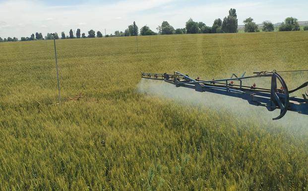 Autorizados 300 millones en ayudas por el incremento del precio de los fertilizantes