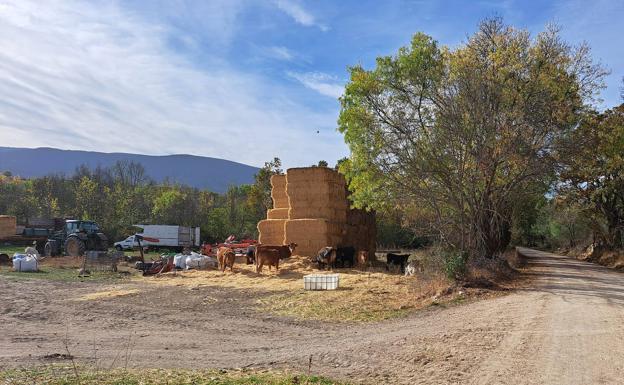 La asociación Iglesia Quemada se desmarca de las críticas realizadas en su nombre