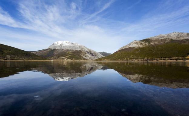 Ecologistas denuncia una «matanza de jabalíes» entre la nieve en la Reserva de Caza Fuentes Carrionas