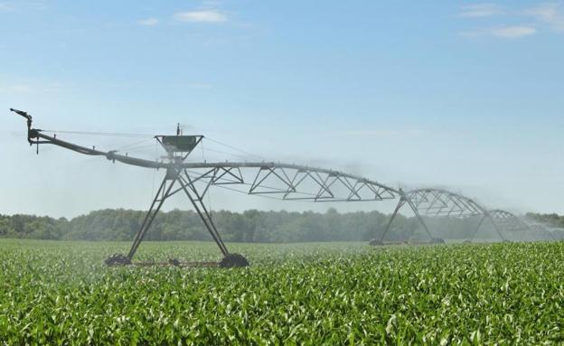 Constituida la nueva comunidad de regantes de aguas subterráneas Tierra de Pinares