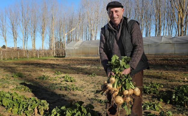 Monzón intenta recuperar sus históricos cultivos de nabos