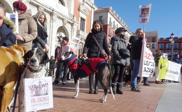 Una marcha reivindica el final de la caza por el centro de Valladolid