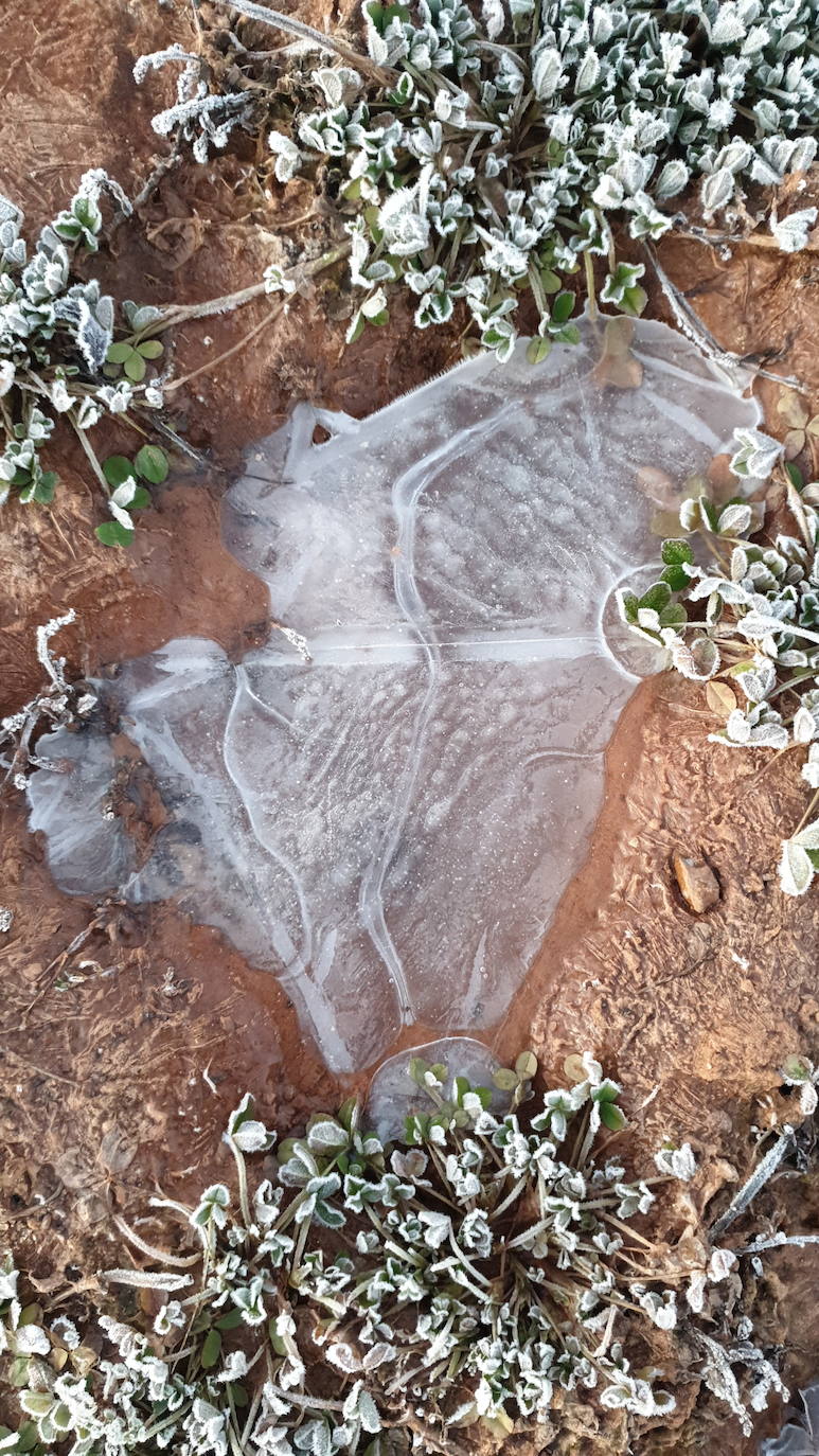 El pantano de Aguilar, helado este viernes 10 de febrero