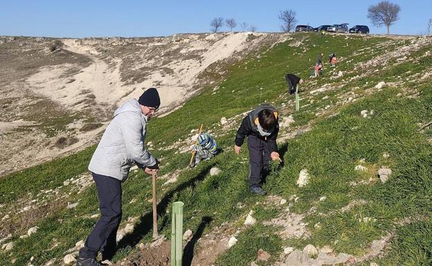 Vecinos de Cuéllar se vuelcan en la plantación de cien árboles en Las Lomas