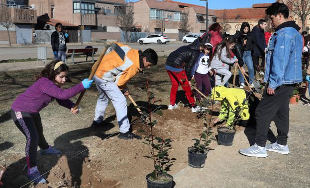 Villamuriel planta 6.500 árboles por el medio ambiente
