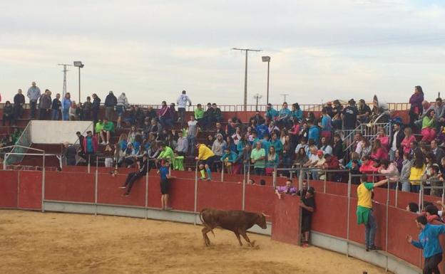 Juzgan a tres hombres que se agredieron en la plaza de toros de Paredes