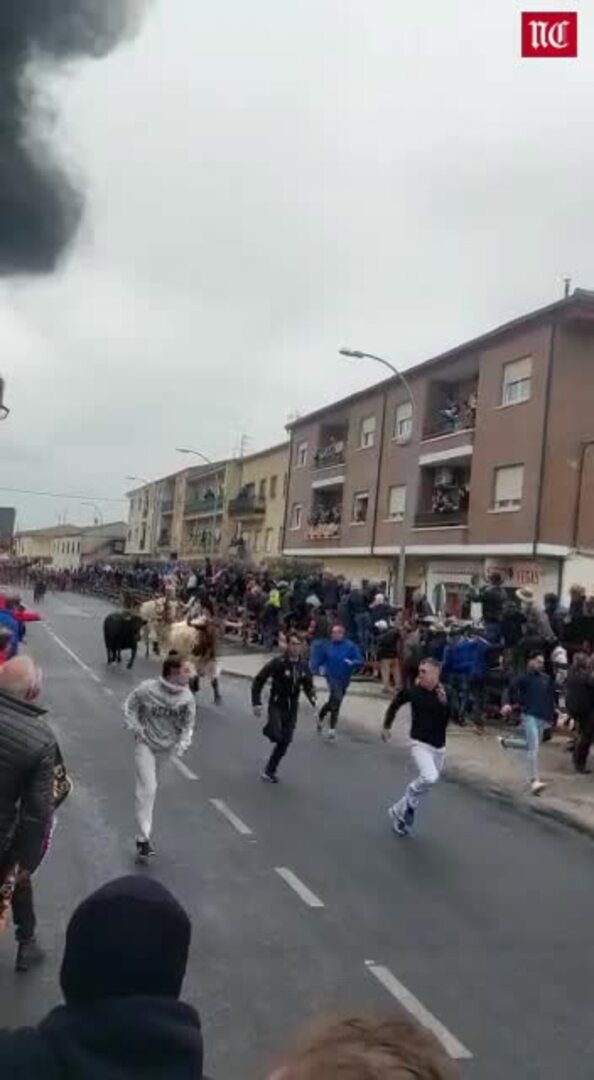 Dos heridos en el carnaval del toro de Ciudad Rodrigo