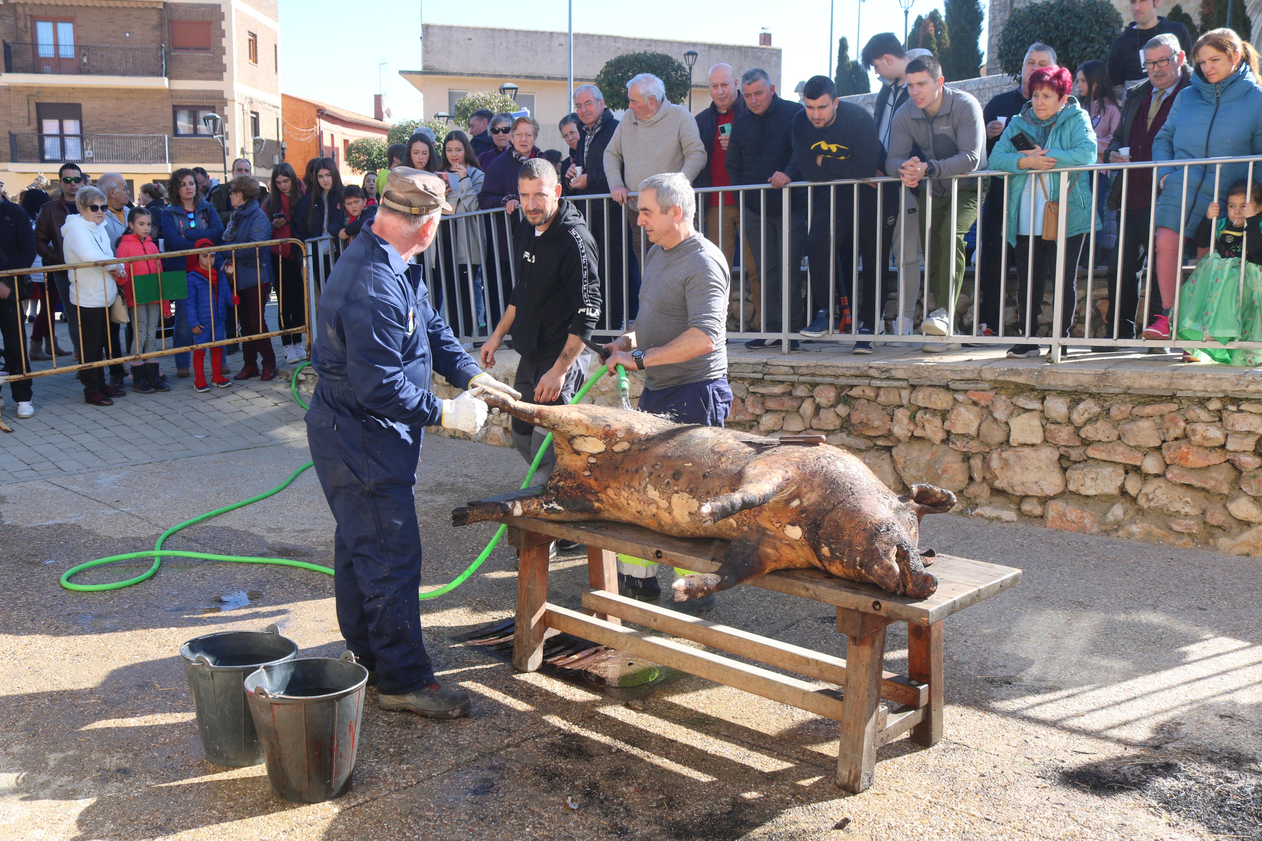 Villamuriel de Cerrato celebra la Fiesta de la Matanza