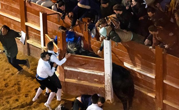 Corneado un joven de 25 años en el Toro del Aguardiente de Ciudad Rodrigo