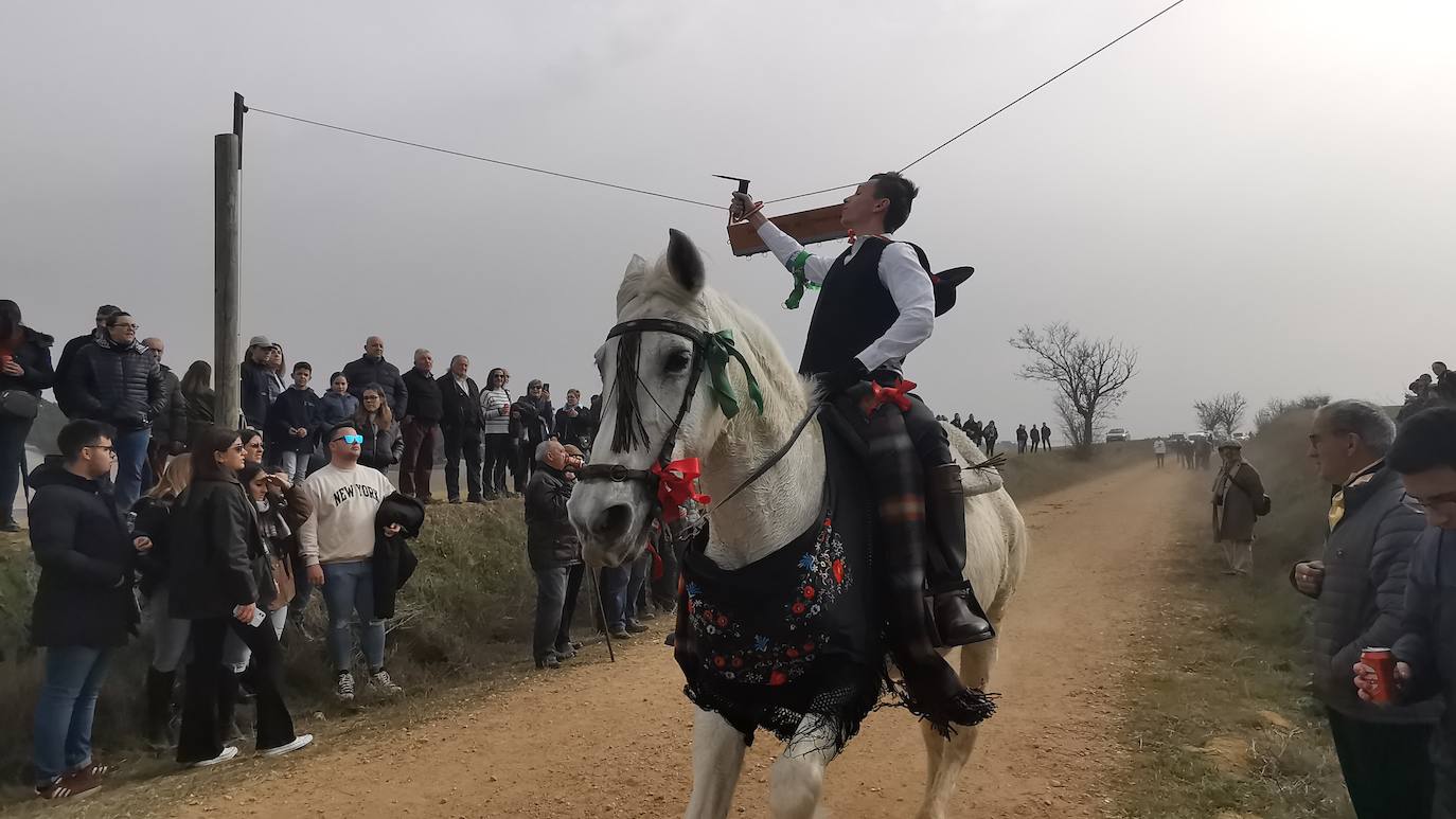 Carrera de cintas a caballo en Torrelobatón