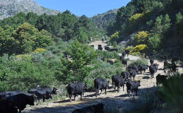 Castilla y León registra la segunda temperatura más baja de España