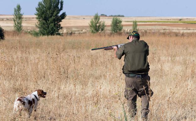La sequía reduce a mínimos históricos las especies de caza menor