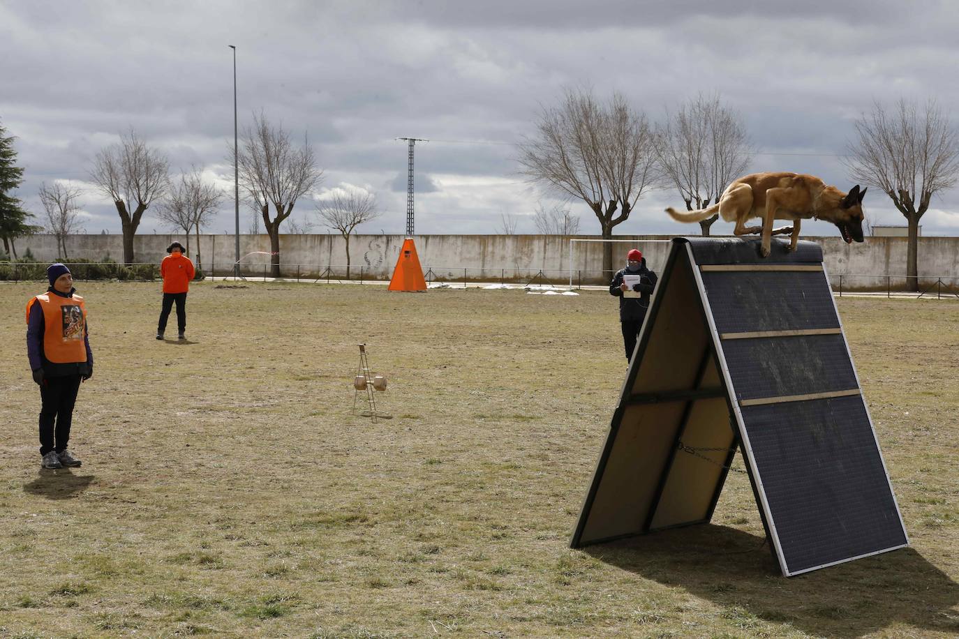 Prueba Selectiva para la Copa de España FCI-IGP 2023 de la RSCE en Campaspero, Valladolid