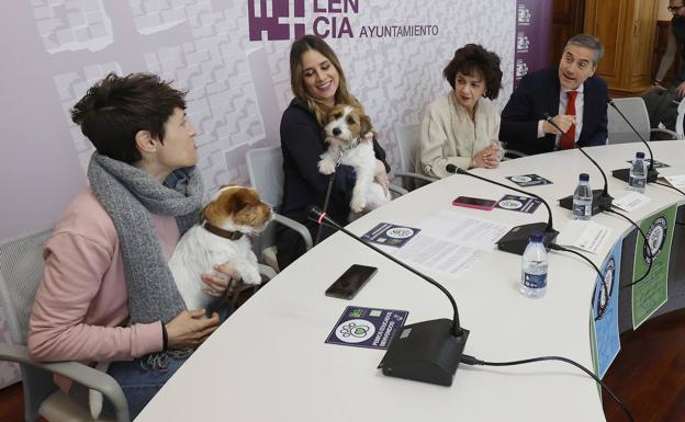 El Ayuntamiento de Palencia incentiva el turismo con mascotas con la campaña 'dog friendly'