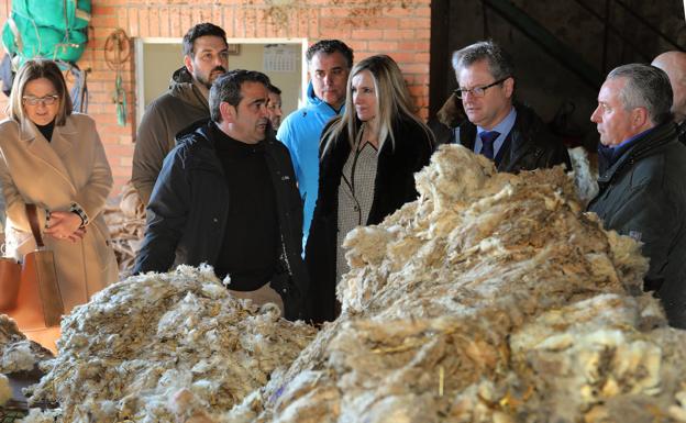 La Junta estudia líneas de investigación para valorizar subproductos de la lana
