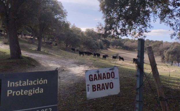 El Marqués de Quintanar denuncia sabotajes en su vallado y contrata seguridad privada