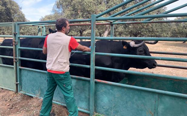 El sector ganadero se prepara para recibir al veterinario de explotación