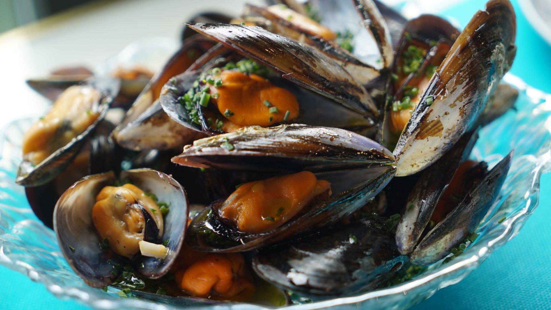 Comer y beber en Valladolid: una ruta por algunos de los mejores mejillones de la ciudad