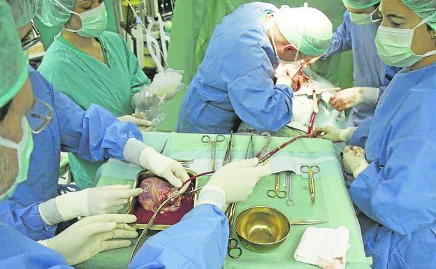 La segunda opinión se ampliará a trasplantes, enfermedades raras y cirugía cardíaca