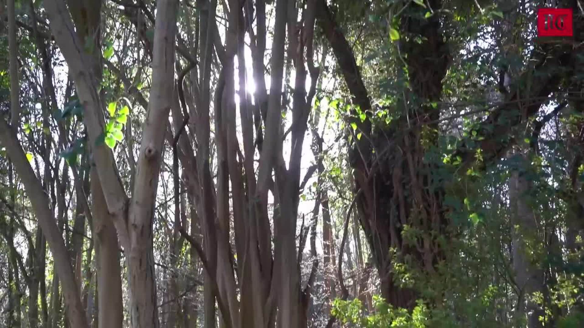 El Campo Grande, corazón y pulmón de Valladolid