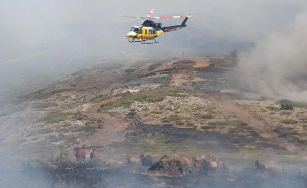 Detenido el pirómano que provocó el incendio que destruyó 400 hectáreas en La Granja