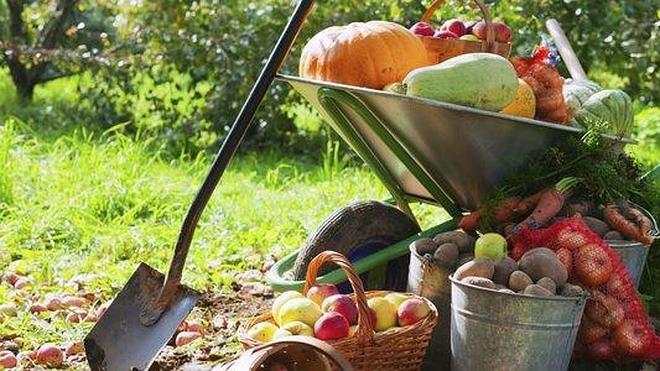 Los productos preferidos de los cocineros españoles