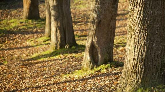 Galicia, una explosión de otoño