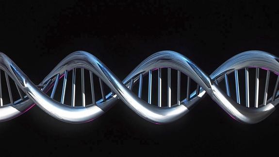 Consiguen ver por primera vez cómo se rompe la doble hélice del ADN