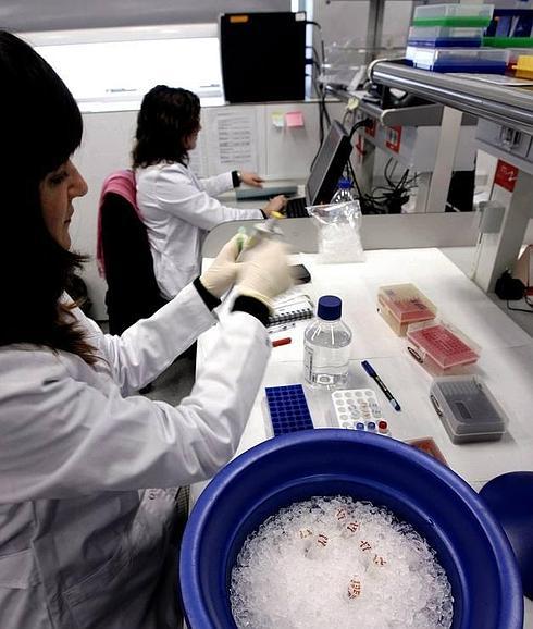 Establecido el catálogo genético de la leucemia linfática crónica