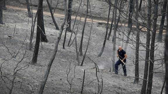 El causante del incendio de Òdena se presenta en comisaría y dice que fue accidental