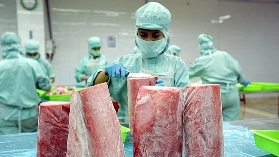 El atún, la caballa y el bonito han visto reducida su población en un 74%