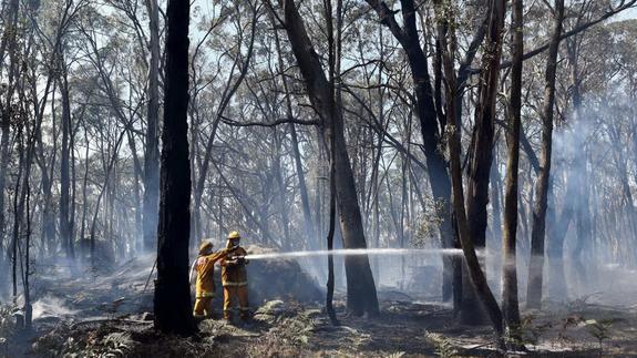 Crean un sistema que predice incendios