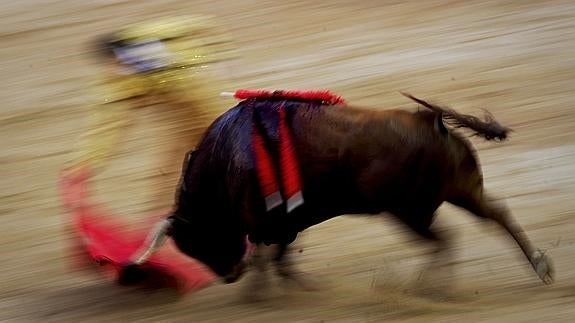 El Parlamento europeo vota para no financiar actividades taurinas con fondos europeos