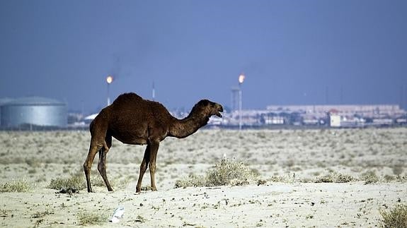 Secuestrados 26 cazadores cataríes en Irak, entre ellos miembros de la realeza