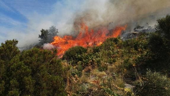 El fuego del Jerte ha quemado unas 900 hectáreas