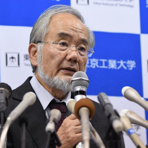 El japonés Yoshinori Ohsumi gana el Nobel de Medicina por describir el reciclaje celular