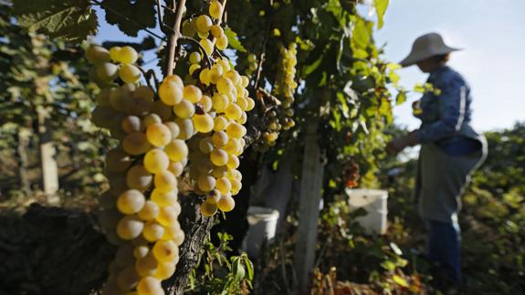 La actividad exportadora baja 1,3 puntos por el menor optimismo empresarial