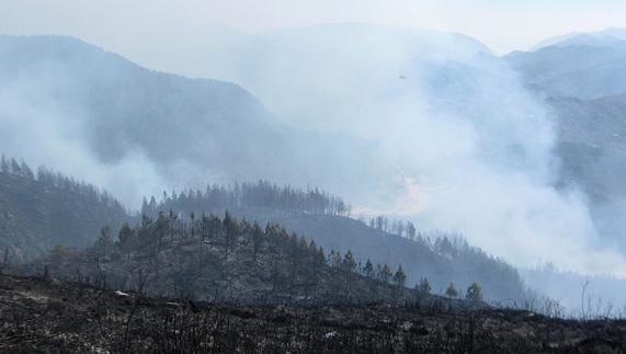 Condenan a 10 años de cárcel a un guardia civil que causó 20 incendios en Madrid