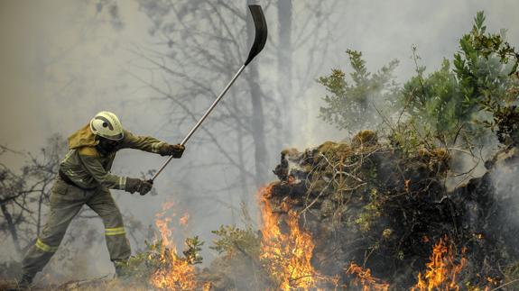 El fuego arrasa en 2016 un 35% menos de superficie respecto a la media de la última década