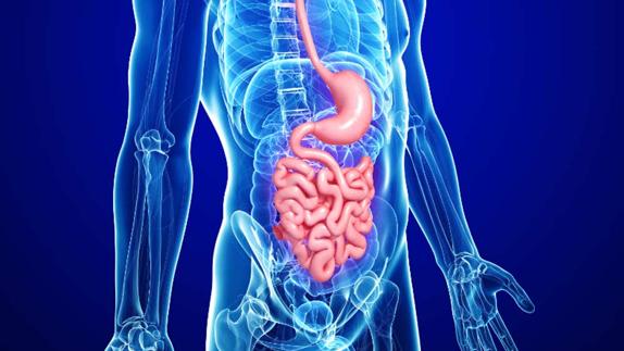 La microbiota intestinal influye en la gastroenteritis vírica