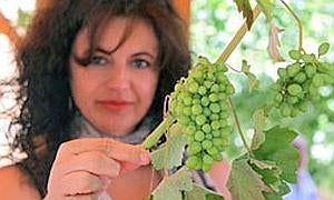 La Feria del Vino 'Tierra de León' abre sus puertas con 16 bodegas de la Denominación de Origen