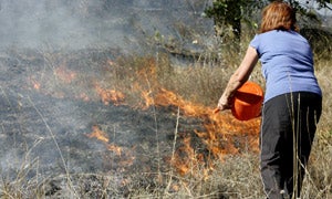 Controlados cuatro incendios de los 11 activos en la provincia de León