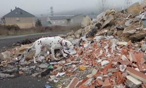 Denuncian un vertedero al lado del campo de fútbol de El Toralín en Ponferrada