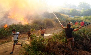 Controlado el incendio que ha quemado una importante masa de castaños en Molinaseca